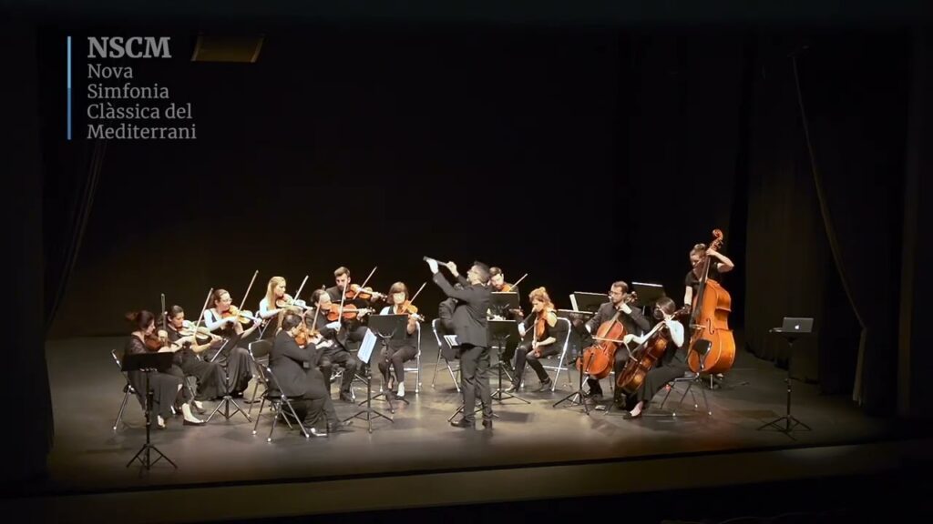 W.A. Mozart. Serenata nº13 en sol major. K525. Eine kleine Nachtmusik. 2on i 3er Moviment
